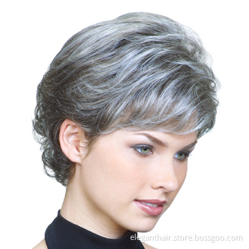 100% Human Hair High Quality Lace Front Wigs (EW-101)